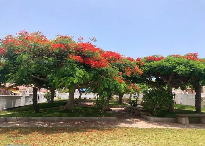 Casa M&m, Relax, Big Terrace, Swimming Pool Apartman *