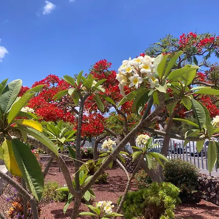 公寓 Casa M&m, Relax, Big Terrace, Swimming Pool *