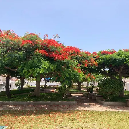 Casa M&m, Relax, Big Terrace, Swimming Pool 公寓 *