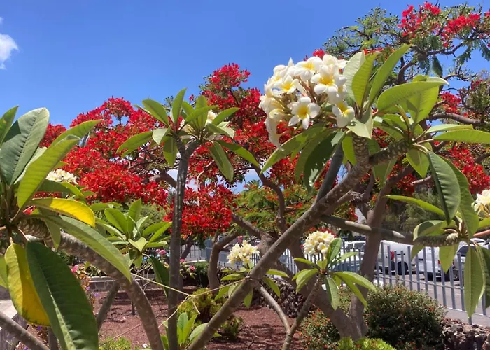 公寓 Casa M&m, Relax, Big Terrace, Swimming Pool *